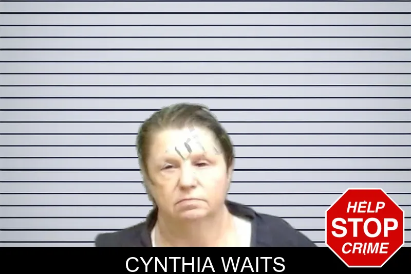 Cynthia Waits mugshot