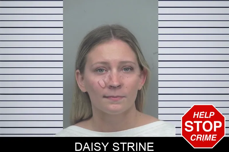 Daisy Strine mugshot