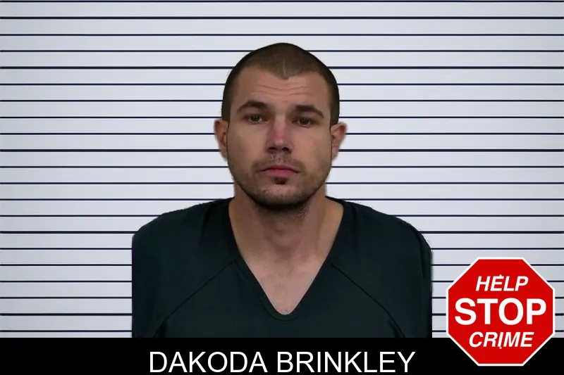 Dakoda Brinkley mugshot
