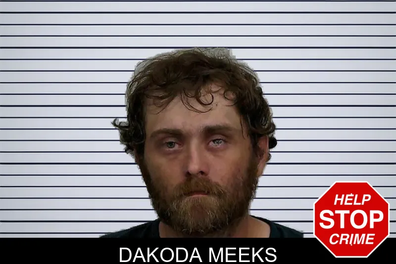 Dakoda Meeks mugshot