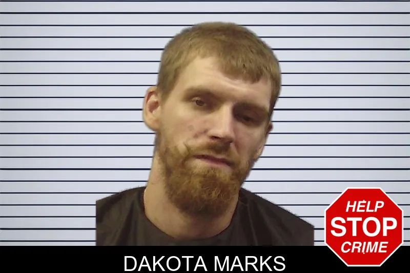 Dakota Marks mugshot