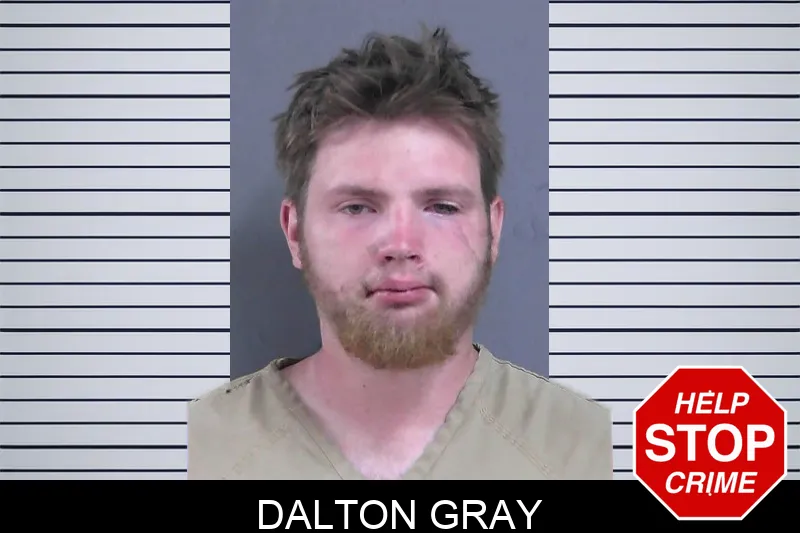 Dalton Gray mugshot