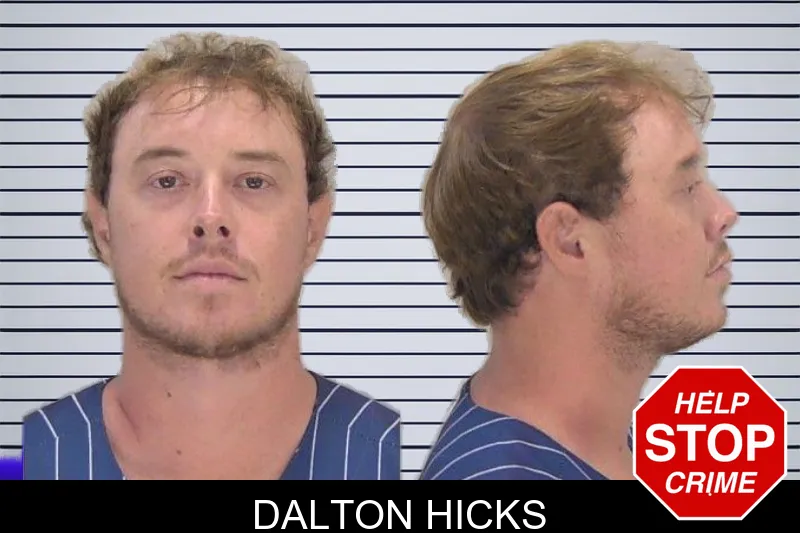 Dalton Hicks mugshot