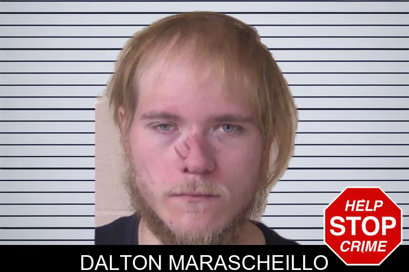 Dalton Marascheillo mugshot