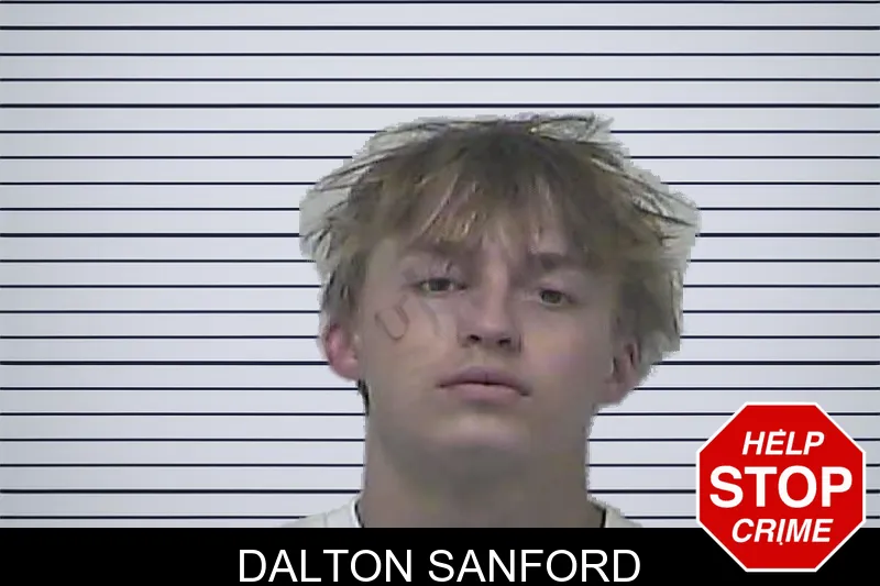 Dalton Sanford mugshot