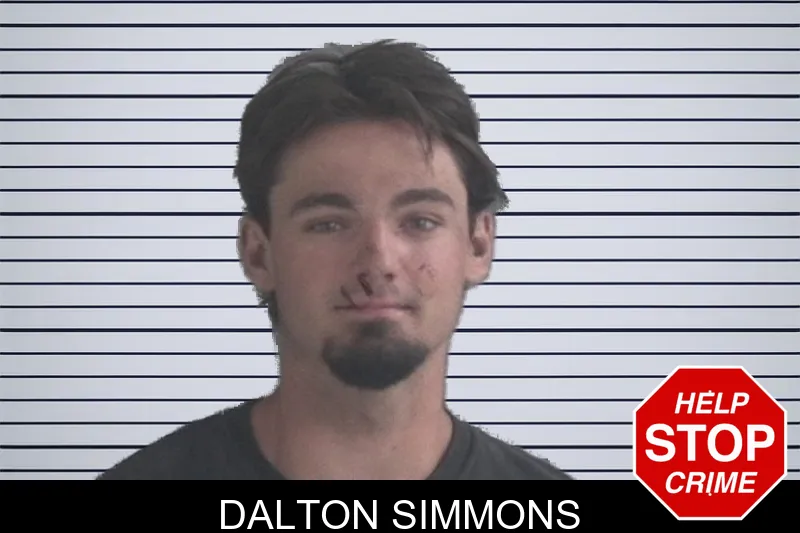 Dalton Simmons mugshot