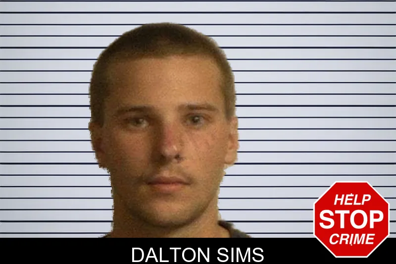 Dalton Sims mugshot