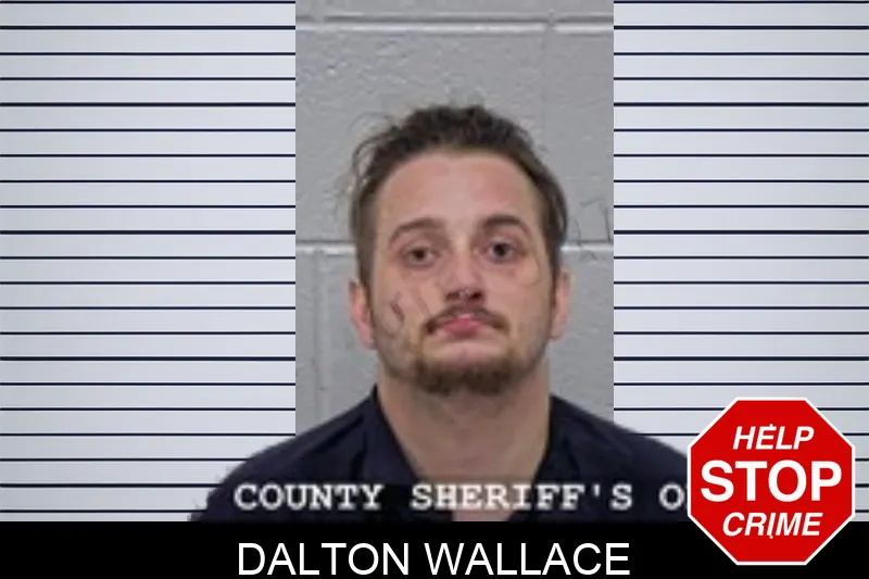 Dalton Wallace mugshot