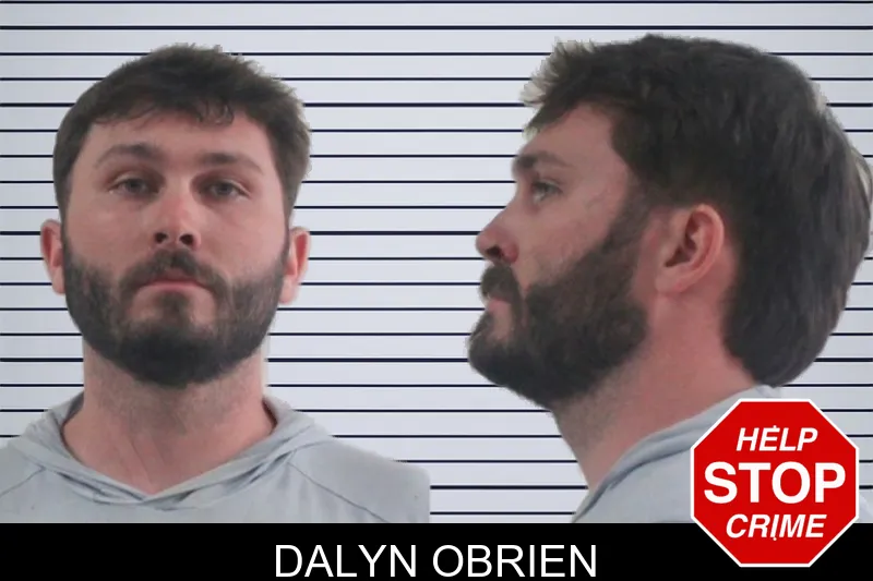 Dalyn Obrien mugshot