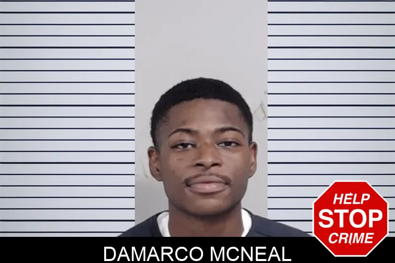 Damarco McNeal mugshot