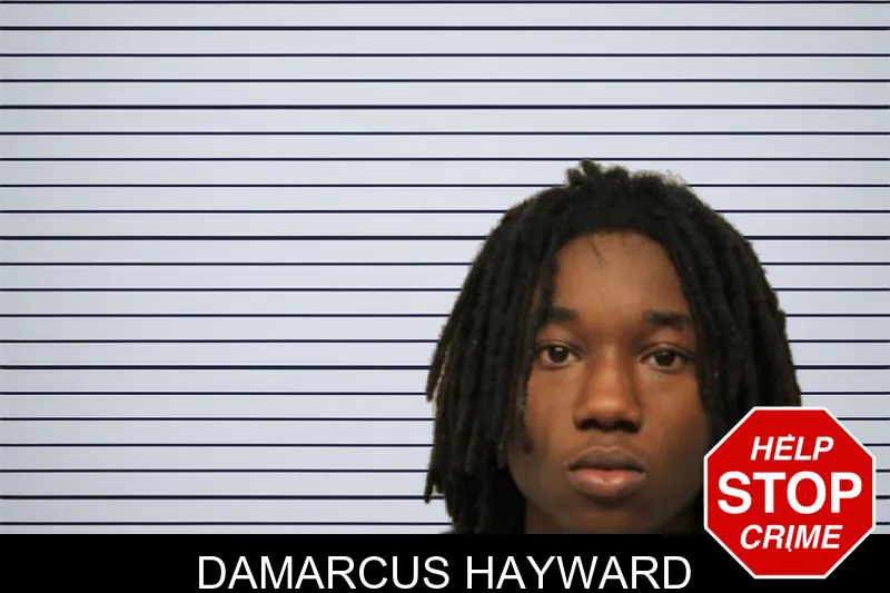 Damarcus Hayward mugshot