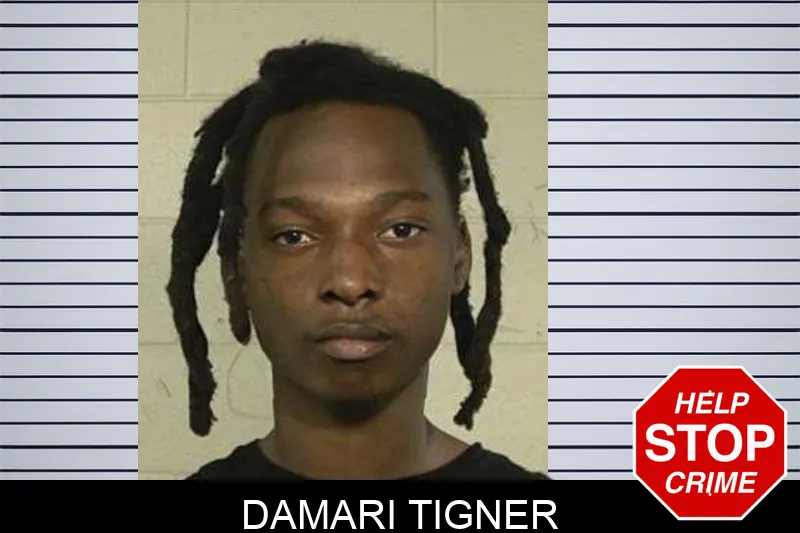 Damari Tigner mugshot