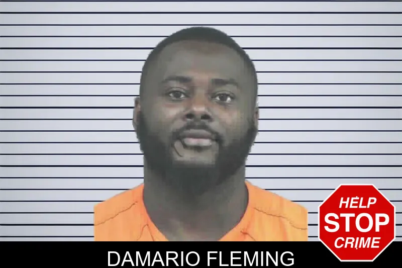 Damario Fleming mugshot