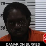 Damarion Burkes mugshot