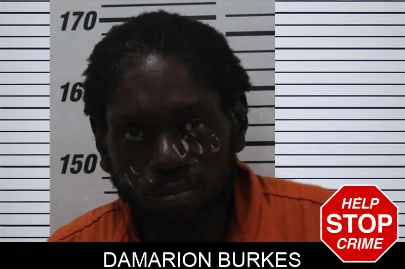 Damarion Burkes mugshot