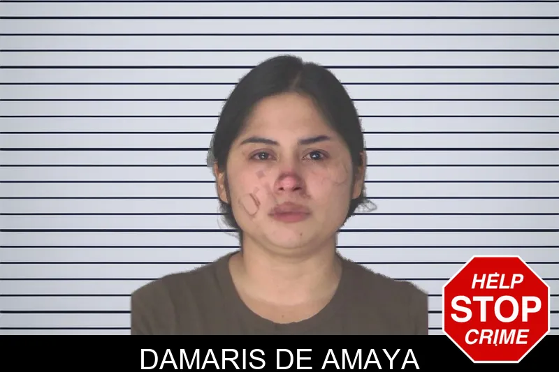 Damaris De Amaya mugshot