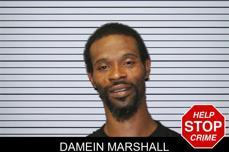 Damein Marshall mugshot