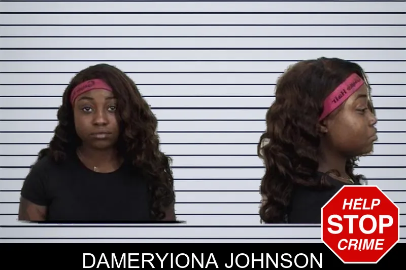 Dameryiona Johnson mugshot