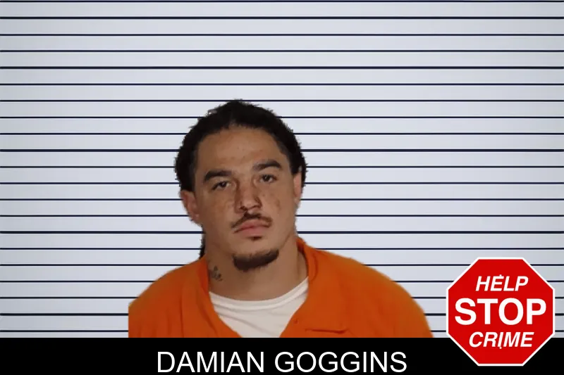 Damian Goggins mugshot