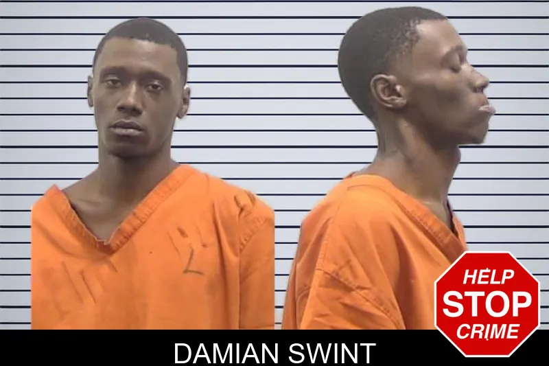 Damian Swint mugshot