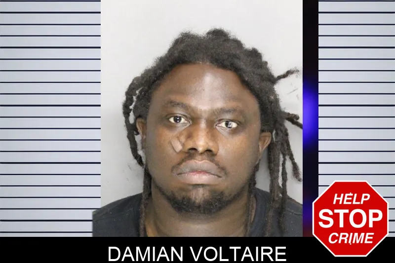 Damian Voltaire mugshot