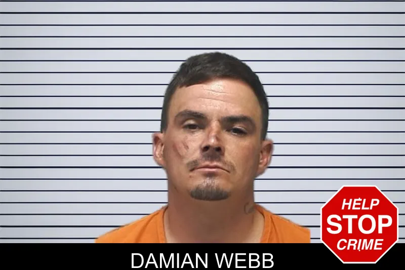 Damian Webb mugshot