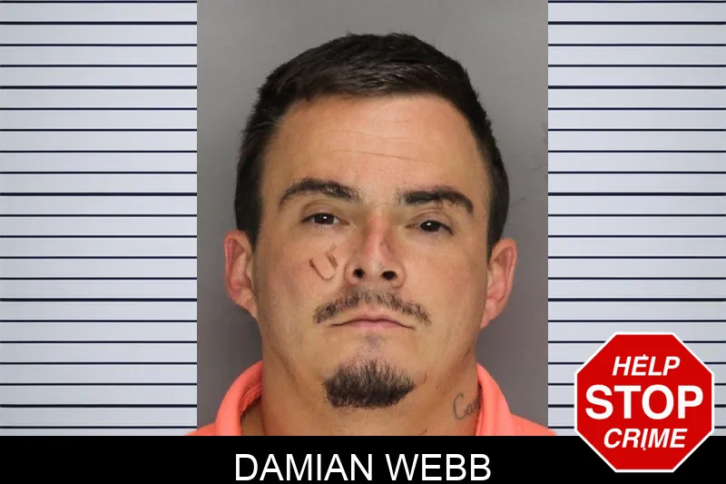 Damian Webb mugshot – Cobb County , Georgia Damian Webb mugshot