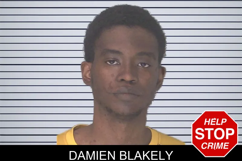 Damien Blakely mugshot