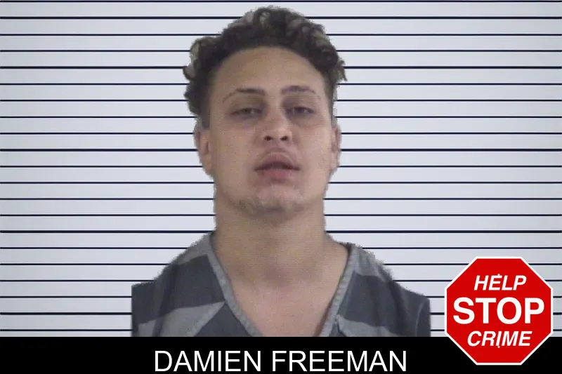Damien Freeman mugshot