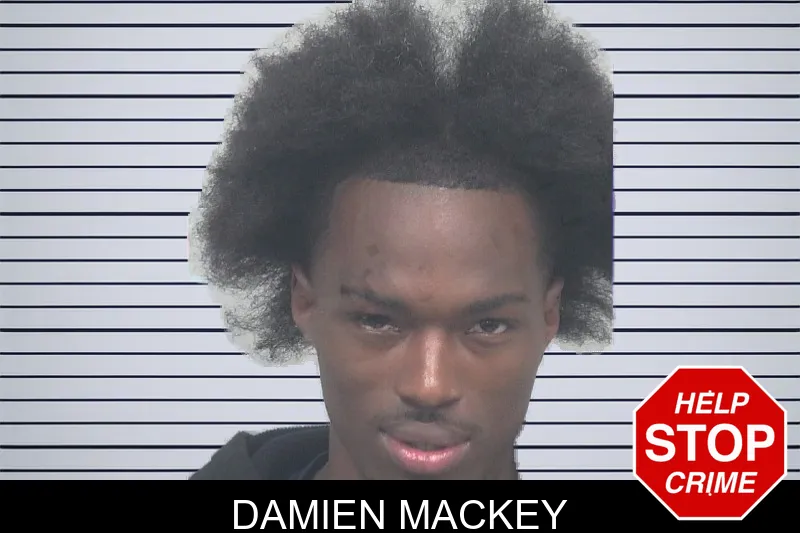 Damien Mackey mugshot