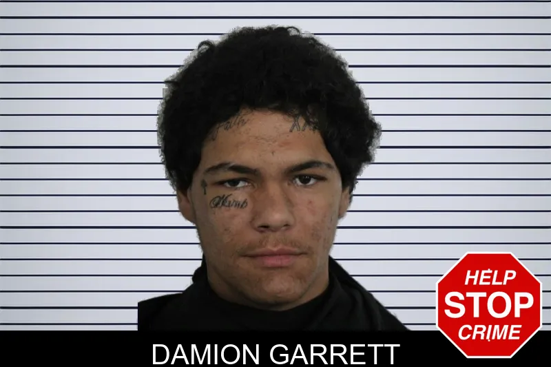 Damion Garrett mugshot