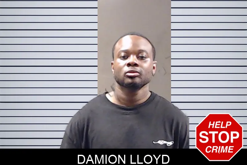 Damion Lloyd mugshot
