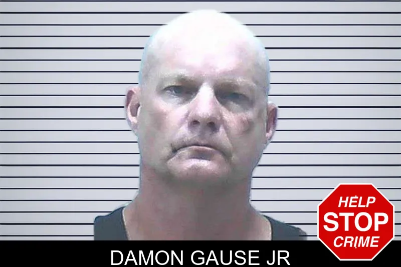 Damon Gause Jr mugshot