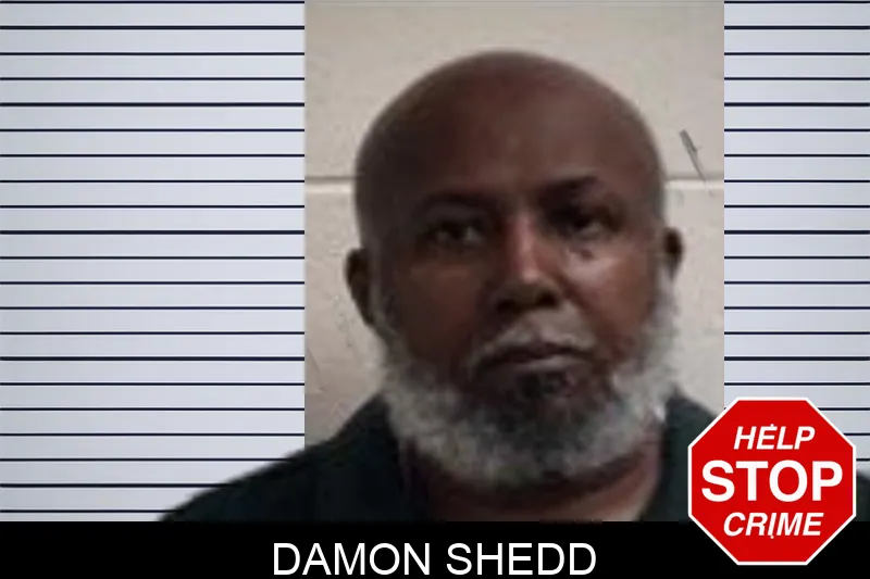 Damon Shedd mugshot