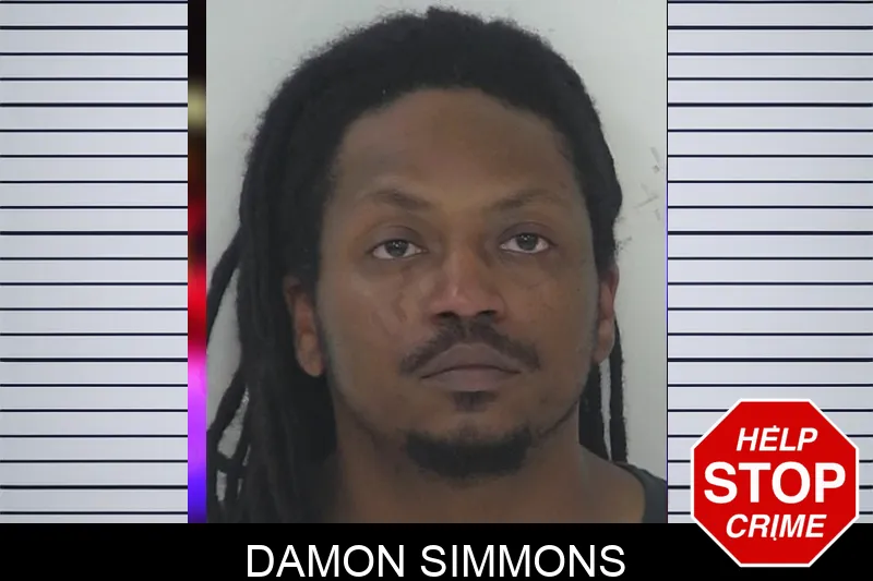 Damon Simmons mugshot