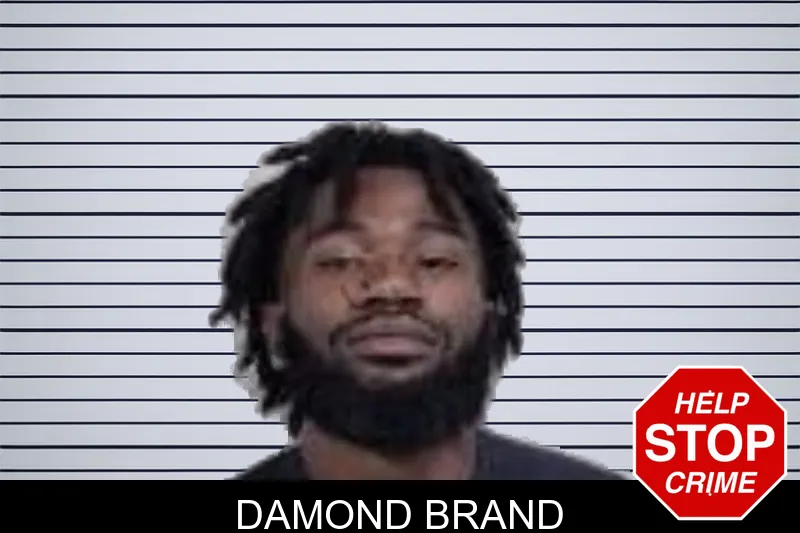 Damond Brand mugshot