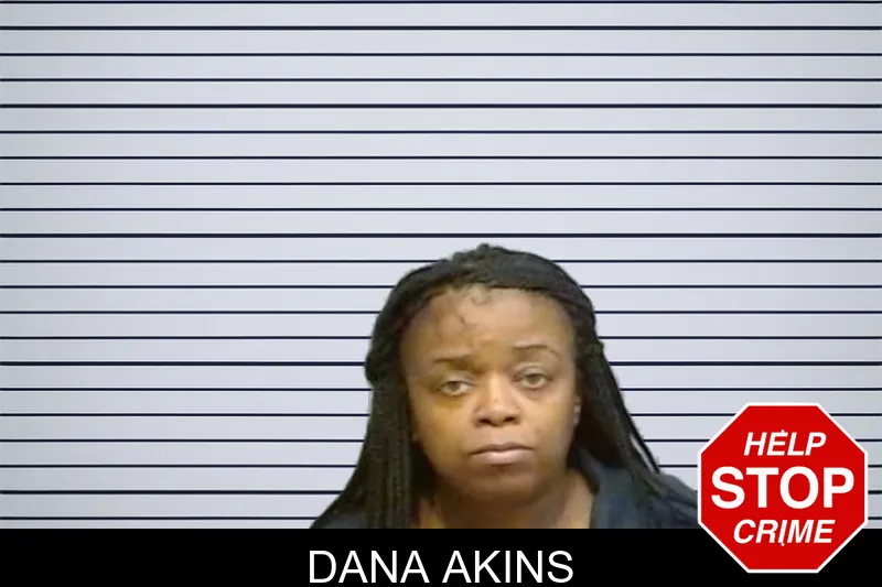 Dana Akins mugshot