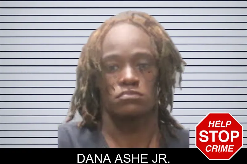 Dana Ashe Jr. mugshot