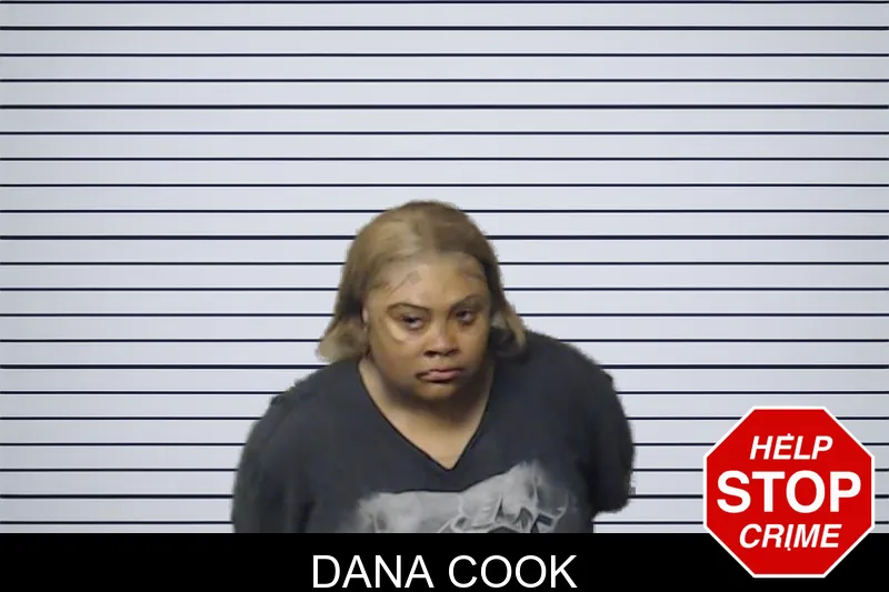 Dana Cook mugshot