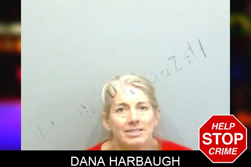 Dana Harbaugh mugshot