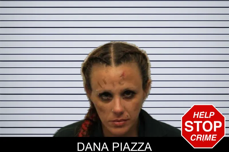 Dana Piazza mugshot