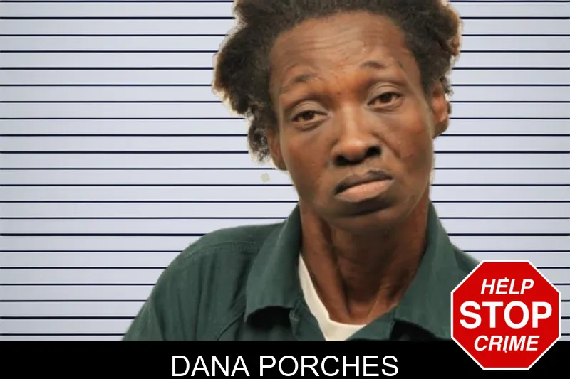 Dana Porches mugshot
