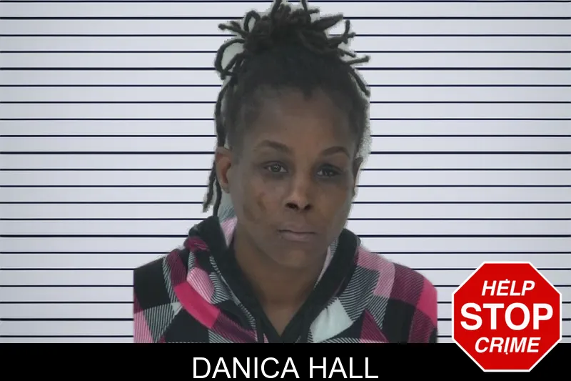 Danica Hall mugshot