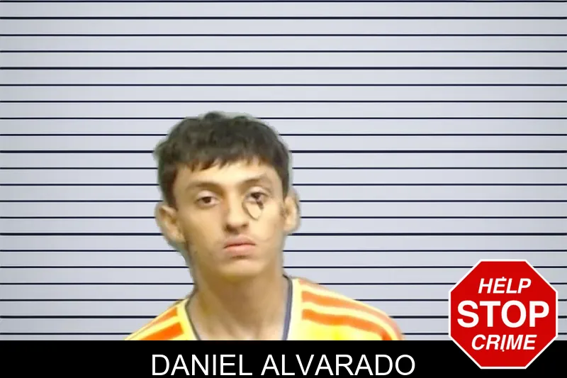 Daniel Alvarado mugshot