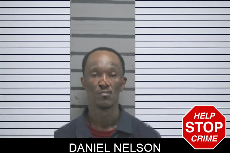 Daniel Nelson mugshot