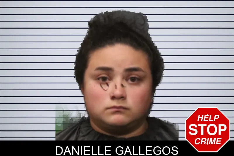 Danielle Gallegos mugshot