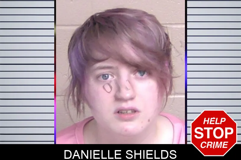 Danielle Shields mugshot