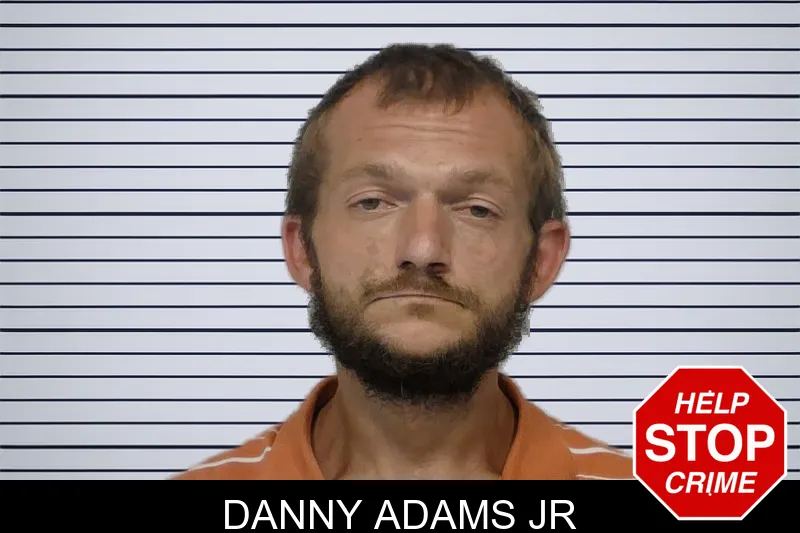 Danny Adams Jr mugshot