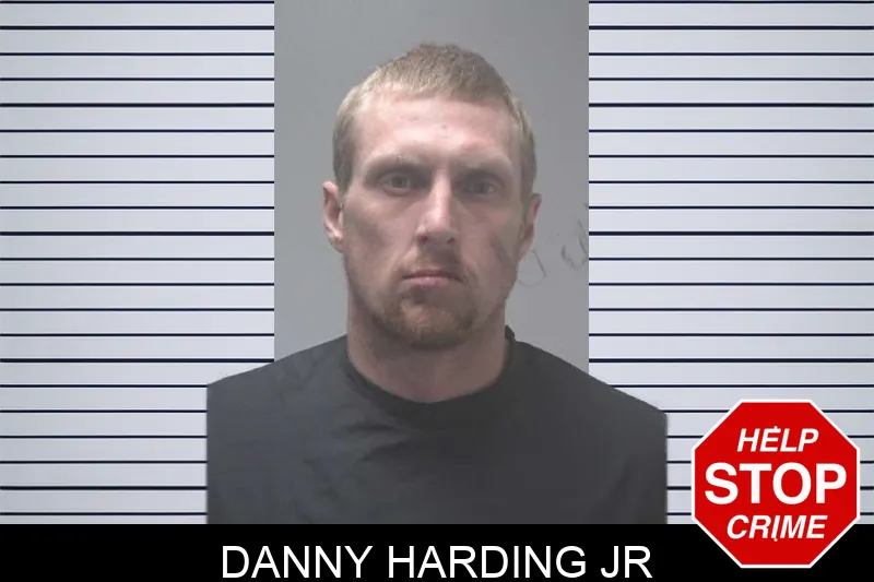 Danny Harding Jr mugshot