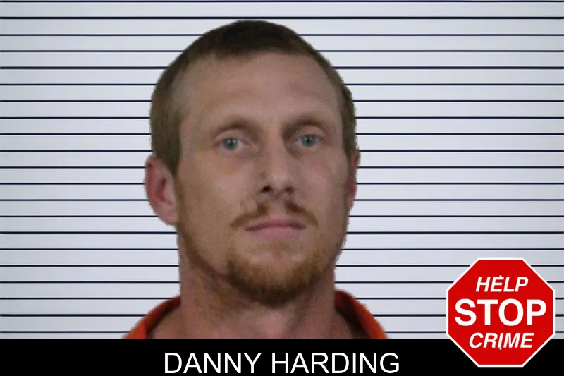 Danny Harding mugshot